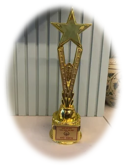 Cup Tinh hoa cờ Việt Cup VNCA II